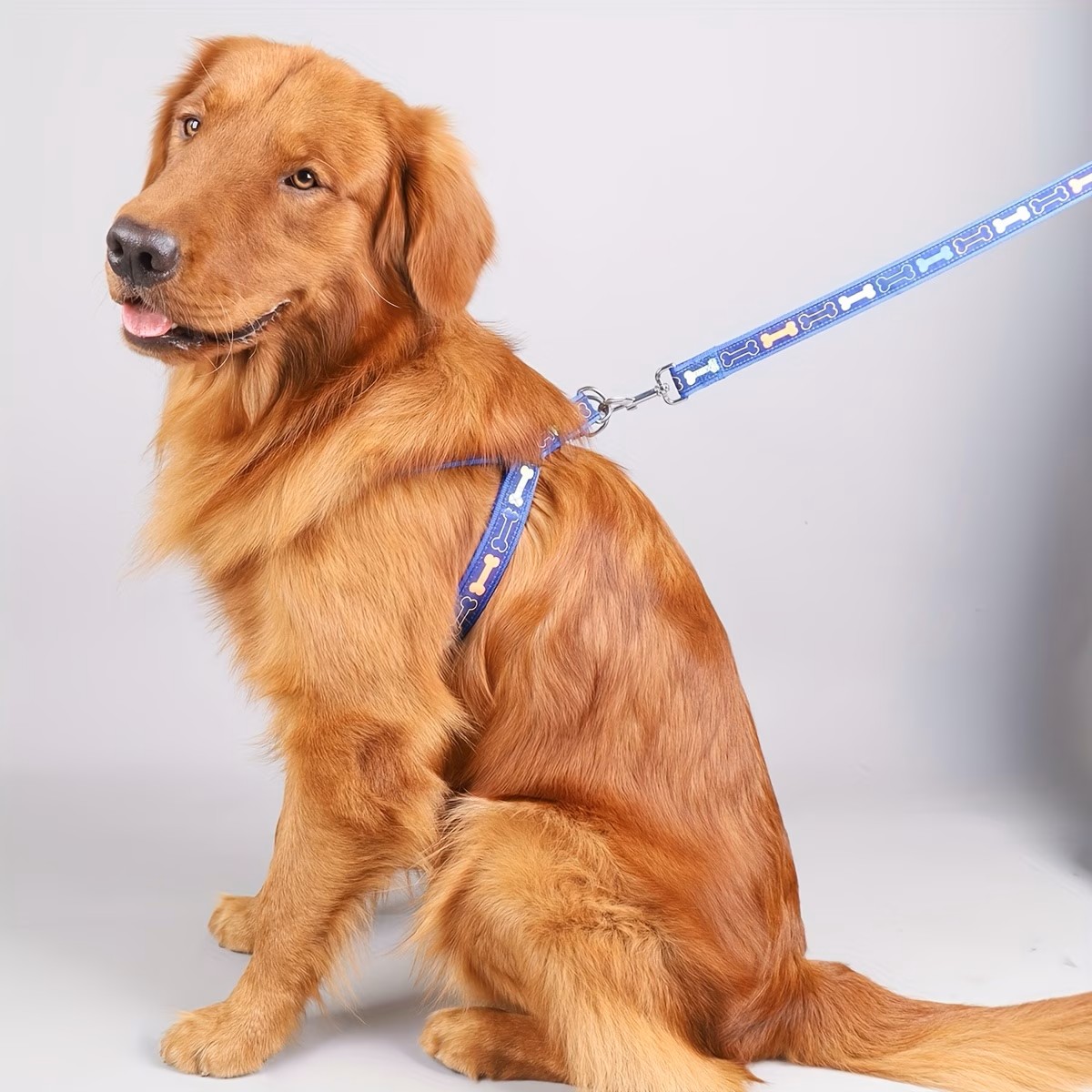 Verstellbares Hundegeschirr mi – D Ring Strap Bewertung und Preis
