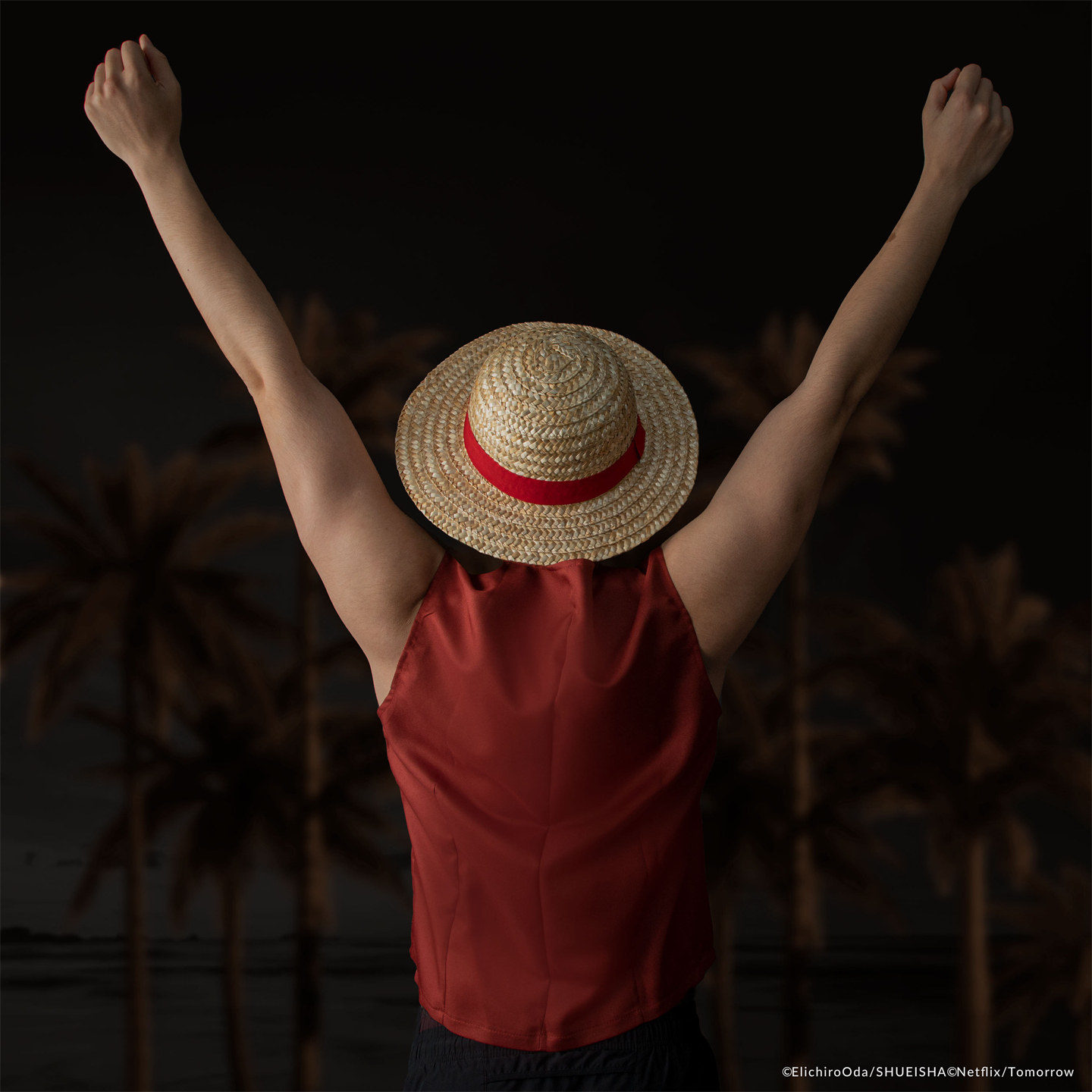 Neuer One Piece Luffy Strohhut – Cosplay Fire Prop Bewertung und Preis