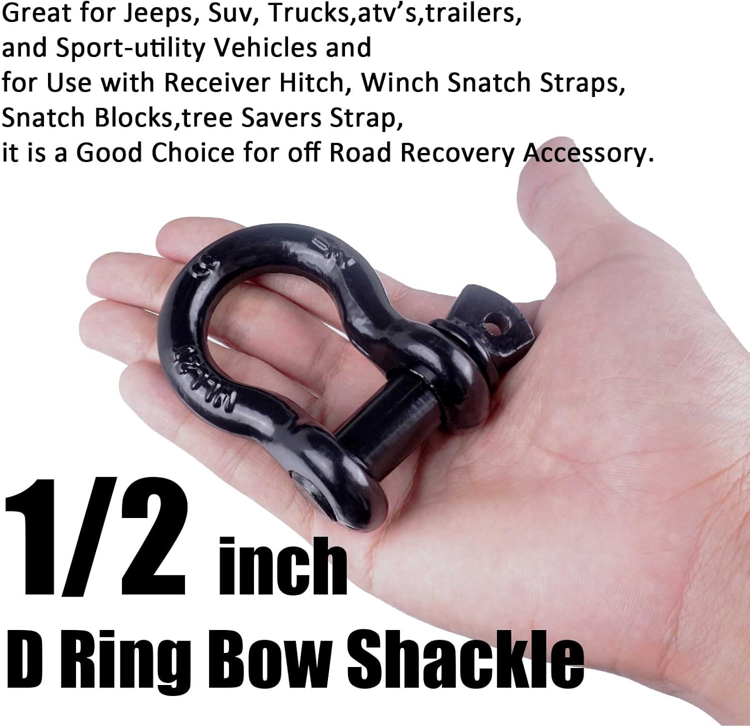 1/2-Zoll-D-Ring-Schäkel mit Sc – D Ring Strap Bewertung und Preis
